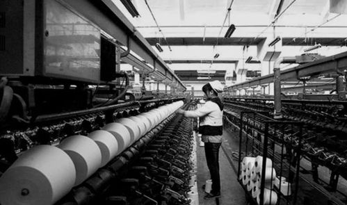 逆袭的郑州 日用品销售新篇章