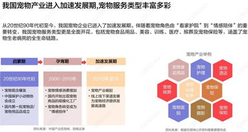 3.6亿销售额！宠物用品双11整月战报解读，日用品消费展现强劲增长